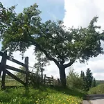Zur Burg Sternberg Отель Extertal
