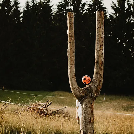 Zur Burg Sternberg Hotel