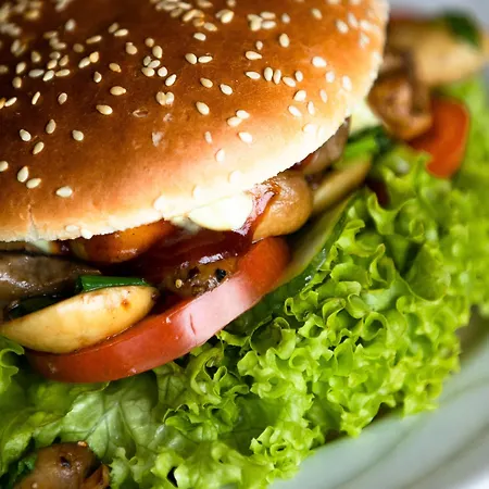 فندق Zur Burg Sternberg