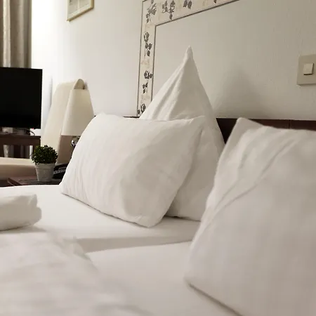 فندق Zur Burg Sternberg 3*