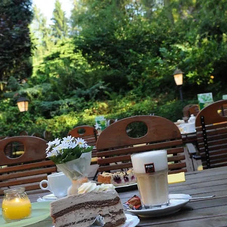 Zur Burg Sternberg Отель Extertal
