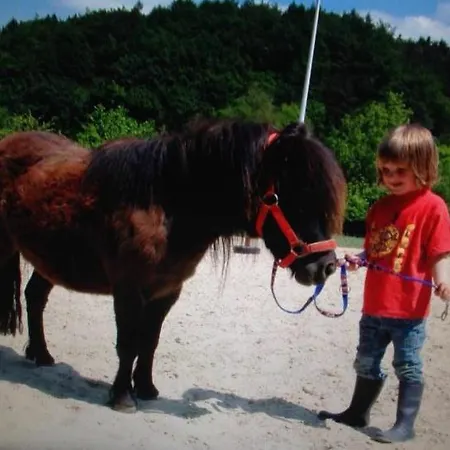 Zur Burg Sternberg 3* Extertal