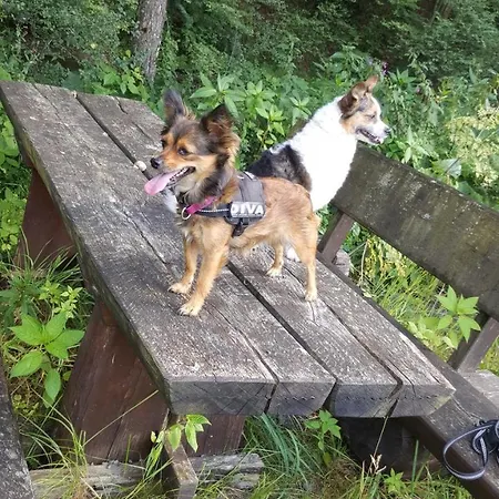 Zur Burg Sternberg Extertal