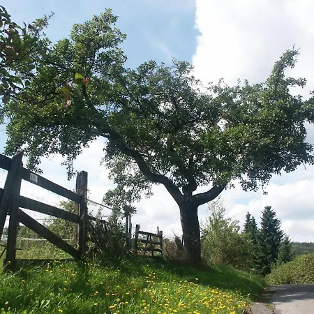 Zur Burg Sternberg Отель Extertal