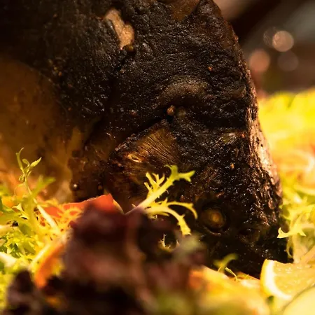 فندق Zur Burg Sternberg