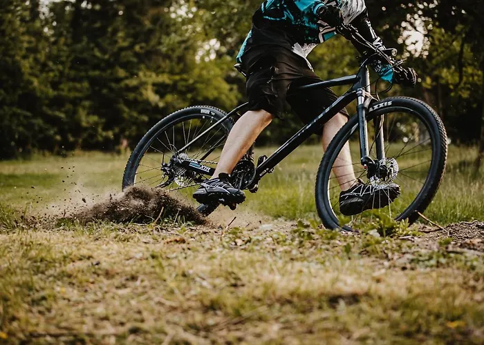 酒店 Zur Burg Sternberg