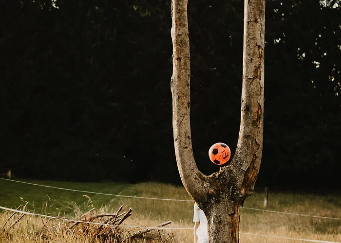 Zur Burg Sternberg Отель