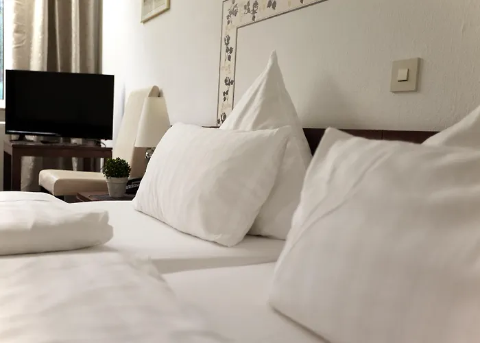 酒店 Zur Burg Sternberg 3*