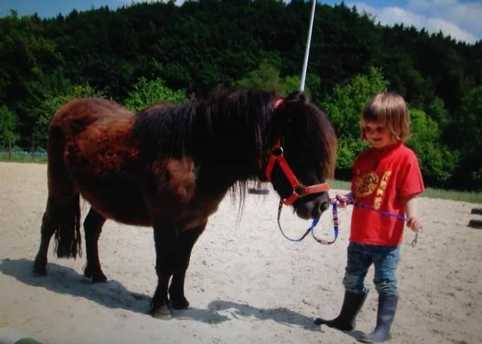 Zur Burg Sternberg 3* Extertal