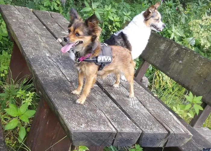 Zur Burg Sternberg Extertal