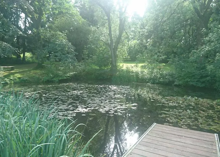 酒店 Zur Burg Sternberg 3*