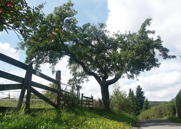 Zur Burg Sternberg Отель Extertal